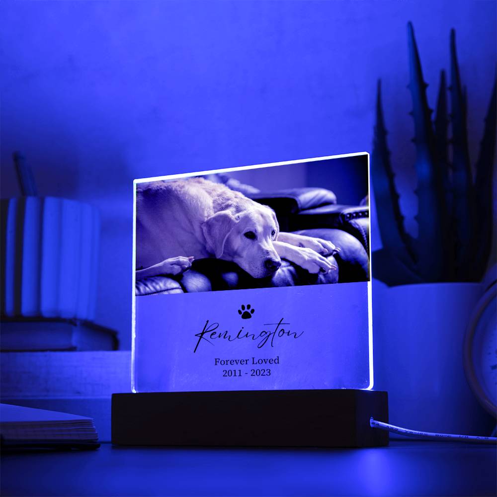 Pet Memorial Custom Acrylic Decor Sign | Personalized Bedroom LED Night Light Option