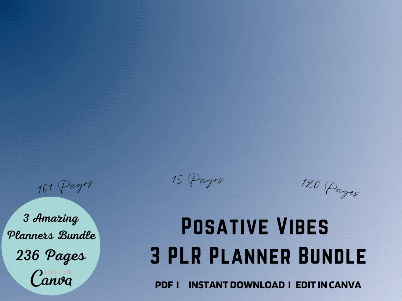 3 Bundle Let's Get It Together PLR Editable Planner, Goodnotes, iPad Planner